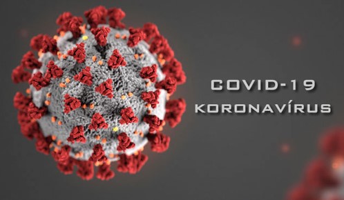 Test na Koronavírus Covid 19
